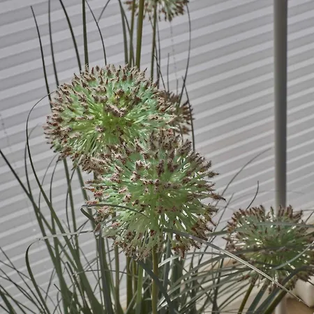 Casa De La Luz Ferienhaus *