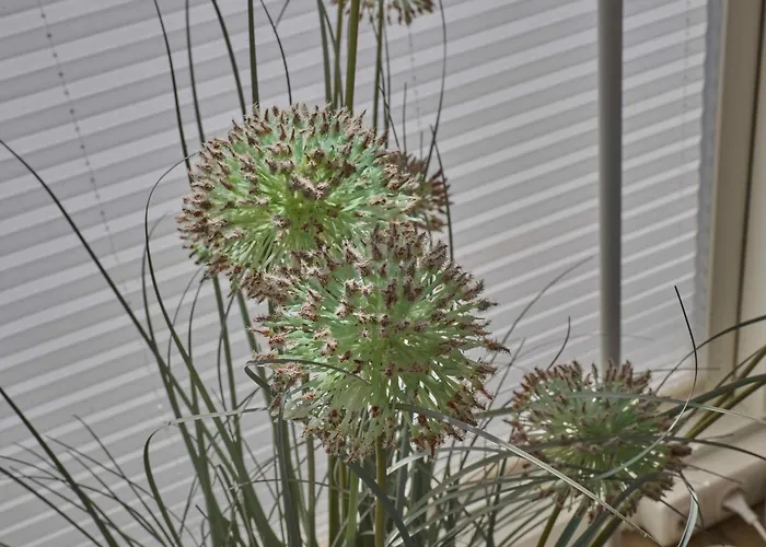 Casa De La Luz Сasa de vacaciones *